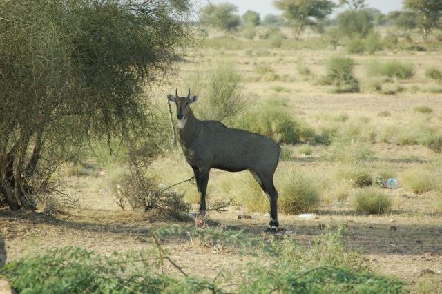 Urlaub in Indien 2016